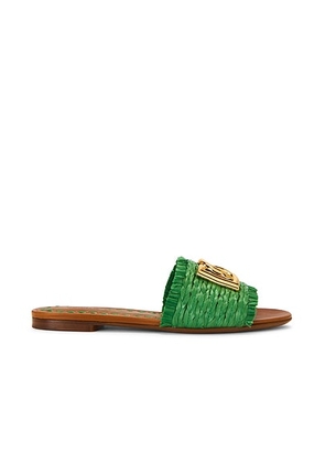 Dolce & Gabbana Raffia Flat Slide in Green & Sand - Green. Size 37 (also in 36, 36.5, 37.5, 38, 38.5, 39, 39.5, 40, 41).