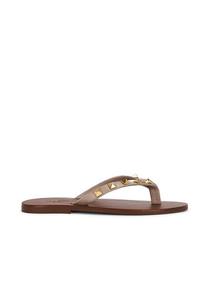 Valentino Garavani Rockstud Thong Sandal in Poudre - Brown. Size 36 (also in 38, 39, 40, 38.5, 39.5, 41).