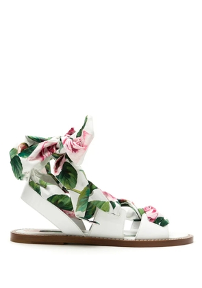 Dolce & Gabbana Tropical Rose lace-up sandals - White