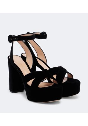 Gianvito Rossi Sabrina velvet platform sandals