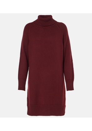 Max Mara Trudy virgin wool turtleneck minidress