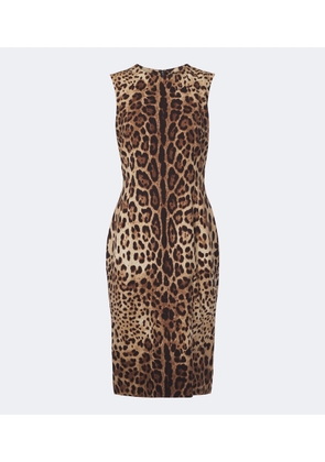 Dolce&Gabbana Leopard-print silk-blend charmeuse midi dress