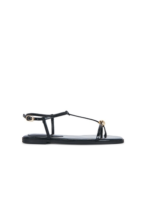 Steve Madden Ritzy Sandal in Black. Size 5.5. Also in 6, 6.5, 7, 7.5, 8, 8.5, 9, 9.5, 10, 11.