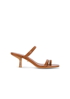 RAYE Liani Sandal in Brown. Size 5.5. Also in 6, 6.5, 7, 7.5, 8, 8.5, 9, 9.5, 10.