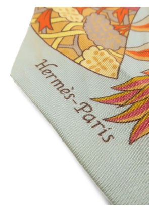 Hermès Pre-Owned Twilly floral-print scarf - Blue