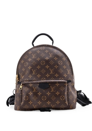 Louis Vuitton Pre-Owned Palm Springs Monogram Canvas MM backpack - Brown