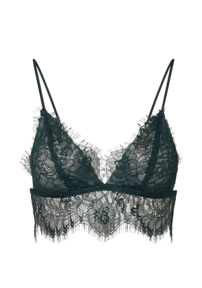 LIU JO chantilly lace bralette - Green