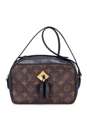 Louis Vuitton Pre-Owned Saintonge tassel shoulder bag - Brown