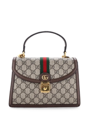 Gucci Pre-Owned Ophidia Flap Top Handle Bag GG Coated Canvas Small satchel - Brown