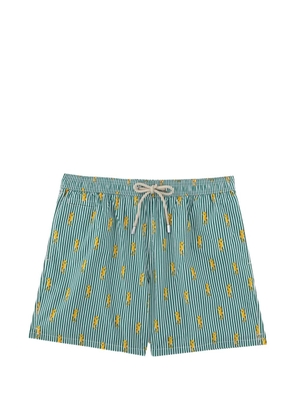 MC2 Saint Barth striped seahorse-print swim shorts - Green
