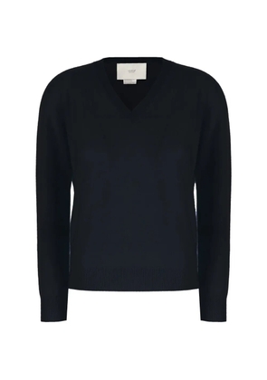 Vanisè V-neck ribbed-trim sweater - Blue