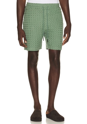 OAS Waffle Porto Shorts in Green - Green. Size M (also in S, L, XL/1X).