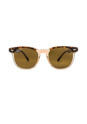 Ray-Ban Hawkeye in Brown.