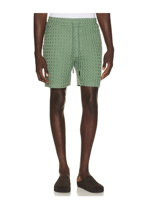 OAS Waffle Porto Shorts in Green. Size S. Also in L, M, XL/1X.