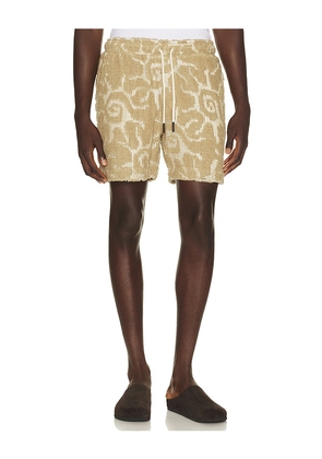 OAS Porto Shorts in Brown. Size S. Also in L, M, XL/1X.