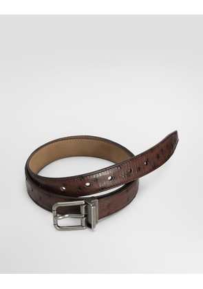 Dolce & Gabbana Ostrich Leather Belt - Man Belts Brown 105