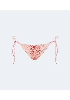 Roberto Cavalli Leopard-print bikini bottoms