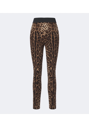 Dolce&Gabbana Leopard-print leggings