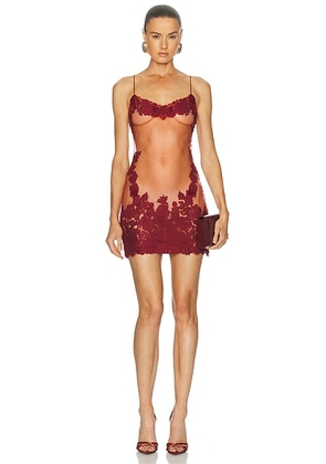 Mirror Palais Anemone Mini Dress in Sangre - Red. Size XS (also in S, L).