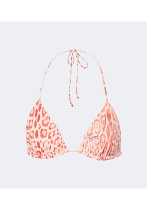 Roberto Cavalli Leopard-print triangle bikini top