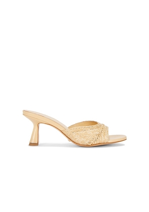 RAYE Amber Sandal in Neutral. Size 5.5. Also in 6, 6.5, 7, 7.5, 8, 8.5, 9, 9.5, 10.