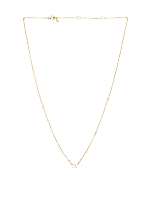 Lili Claspe Bryn Necklace in Metallic Gold.