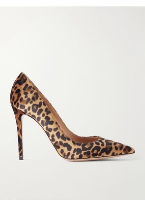 Gianvito Rossi - Gianvito 105 Leopard-print Velvet Pumps - Animal Print - IT36,IT36.5,IT37,IT37.5,IT38,IT38.5,IT39,IT39.5,IT40,IT40.5,IT41,IT41.5,IT42
