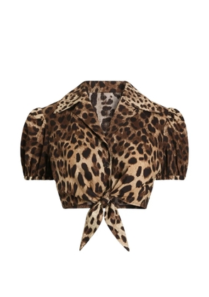 Dolce & Gabbana leo-print poplin shirt - Neutrals