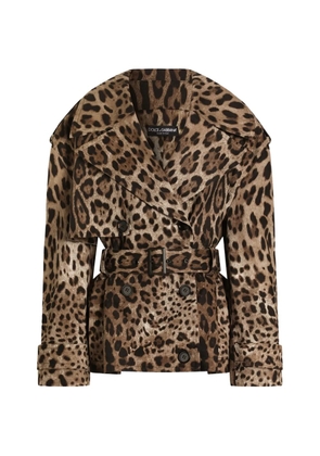 Dolce & Gabbana leo-print cotton drill jacket - Neutrals