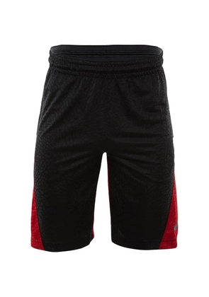Jordan Air Jordan Rise Vertical basketball shorts - Black