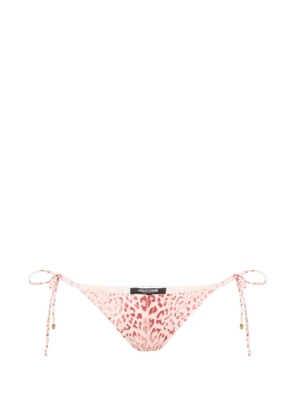 Roberto Cavalli leopard-print side-tie bikini bottoms - Neutrals