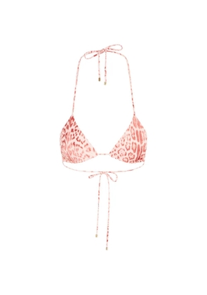 Roberto Cavalli jaguar-print triangle bikini top - Pink
