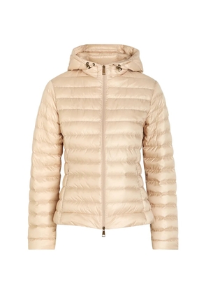 Moncler Igelhood padded jacket - Neutrals