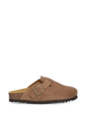 Scholl buckle-fastening suede clogs - Brown