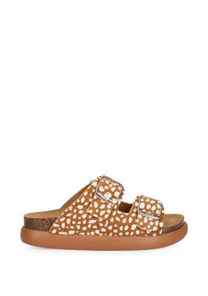 Scholl buckle-fastening animal-print slides - Orange