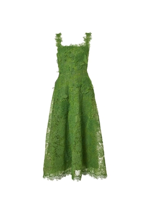 Carolina Herrera hydrangea lace midi dress - Green
