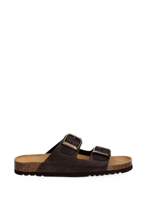 Scholl Arizona buckle-fastening leather sandals - Brown