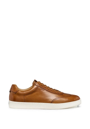 Geox Regio leather sneakers - Brown