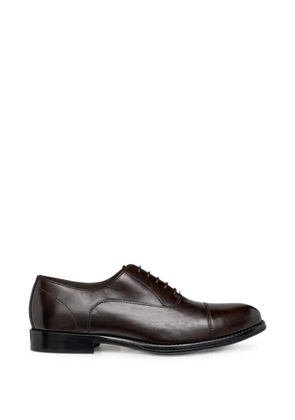 Geox Barberigo cap-toe lace-up oxford shoes - Brown