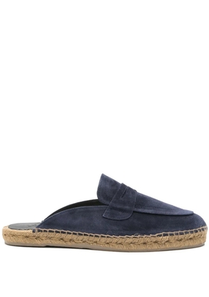 Castañer Nando T/186 suede mules - Blue