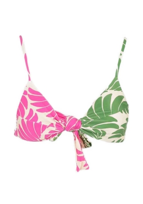 FARM Rio printed bikini top - Pink