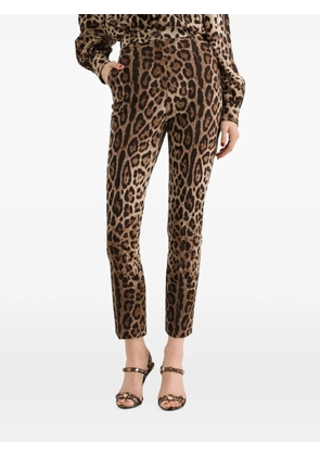 Dolce & Gabbana leo-print wool trousers - Neutrals