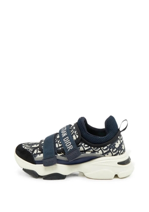 Christian Dior Pre-Owned Oblique D-Wander sneakers - Blue