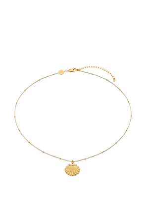 YOJ Conchigla shell-pendant necklace - Gold
