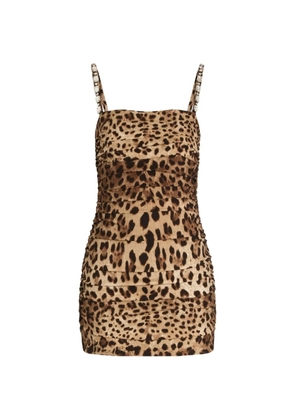 Dolce & Gabbana leo-print charmeuse dress - Neutrals