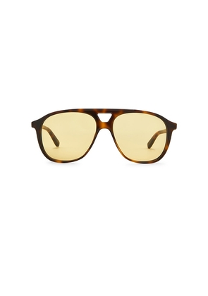 Chimi Uma Sunglasses in Brown.