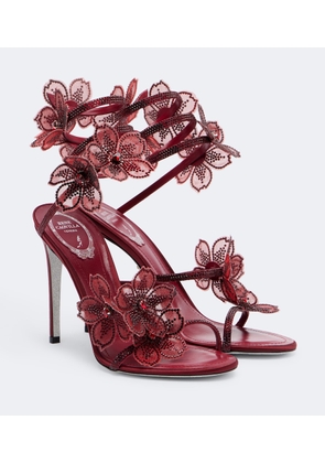 Rene Caovilla Floriane floral-applique embellished sandals