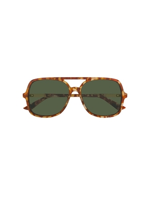 Chloe Aviator Sunglasses in Brown.