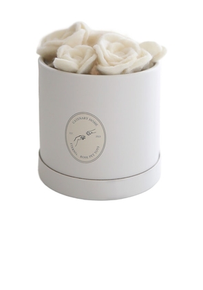 Catenary Home Flora Eterna Pet Toy Box in White.