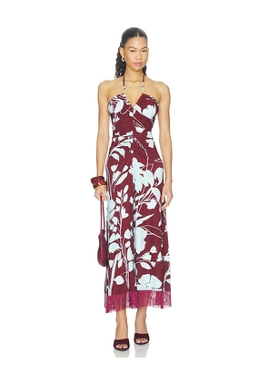 Cara Cara Shelter Island Maxi Dress in Burgundy. Size XXS. Also in XS, S, M, L, XL.